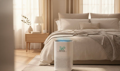 DetoAir H13 True HEPA Air Purifier